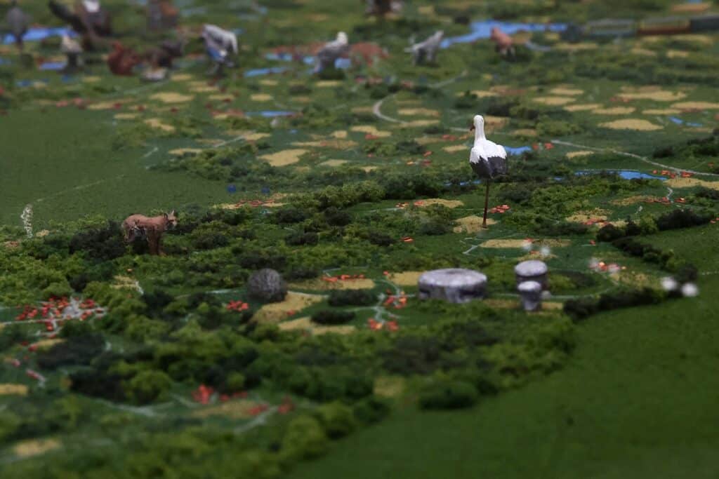 Niezwykła atrakcja dla małych i dużych odkrywców. - Niezwykła atrakcja edukacyjna w Ełku