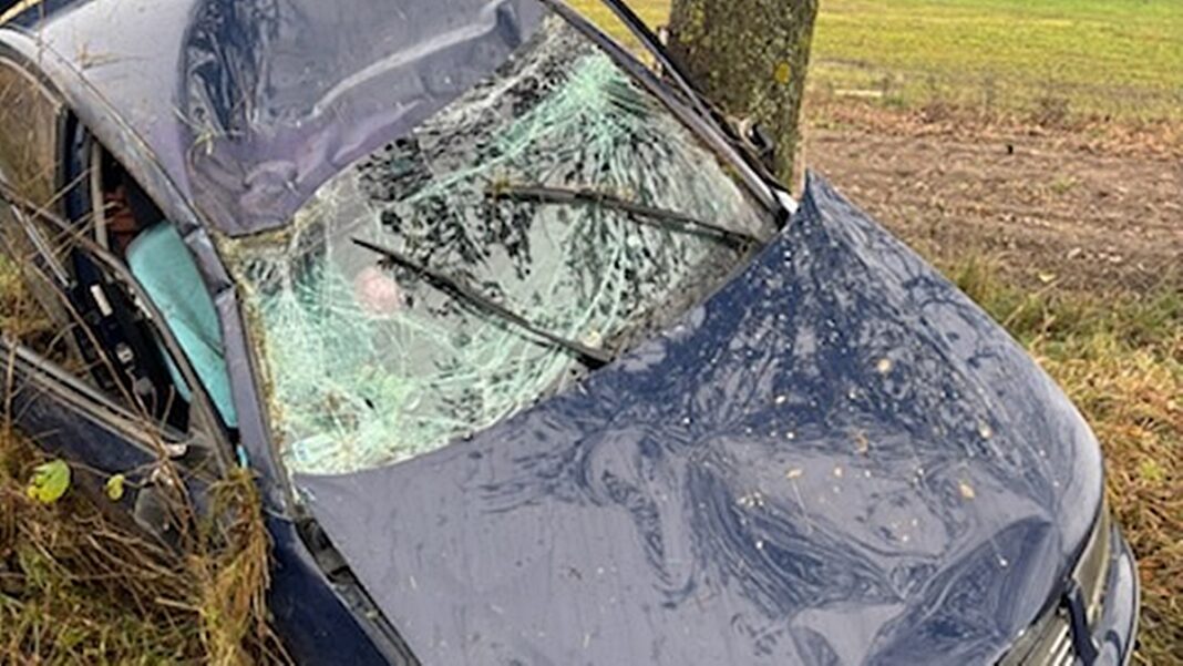 volkswagen rozbity na drzewie