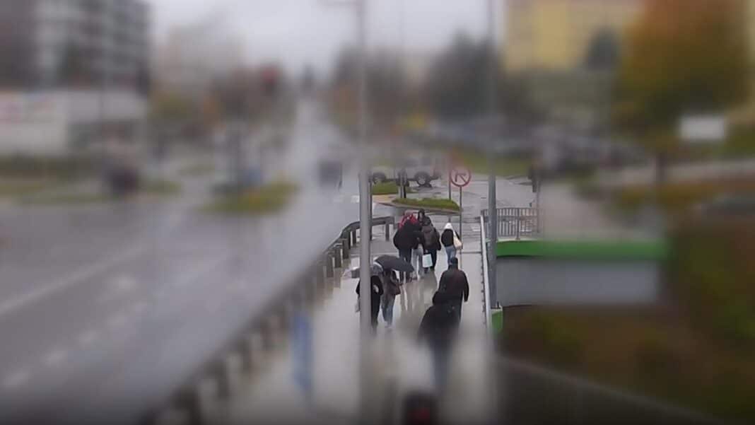 kieszonkowiec w akcji