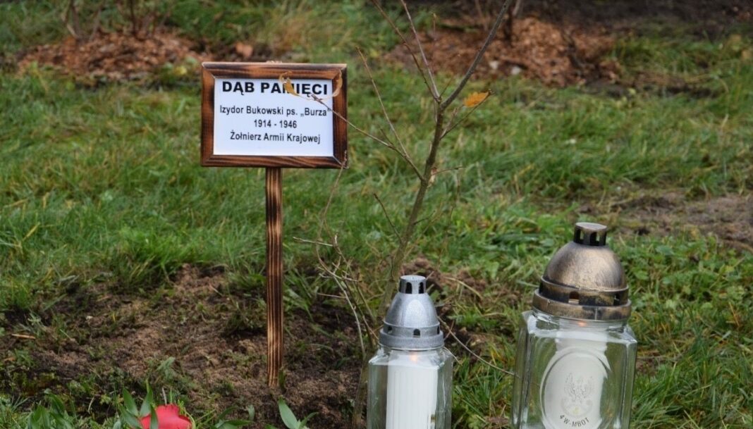 Dąb Pamięci w Janowie