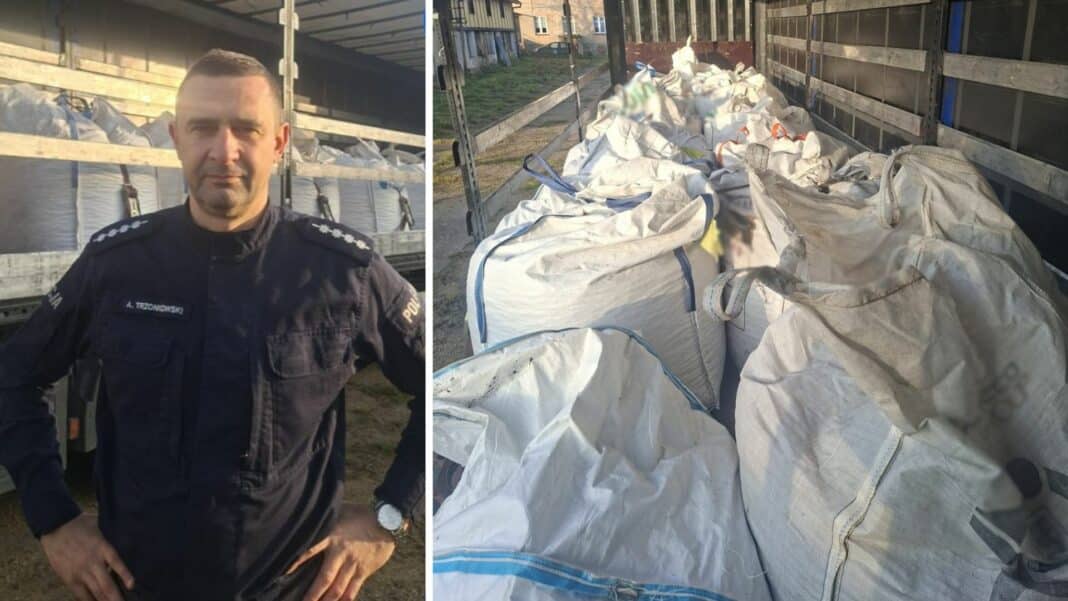 Dzielnicowy z Pisza zbiera kasztany.