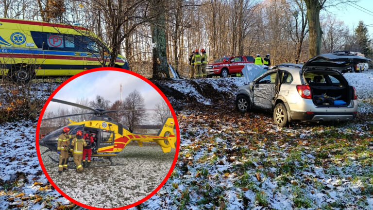 Chevrolet uderzył w drzewo