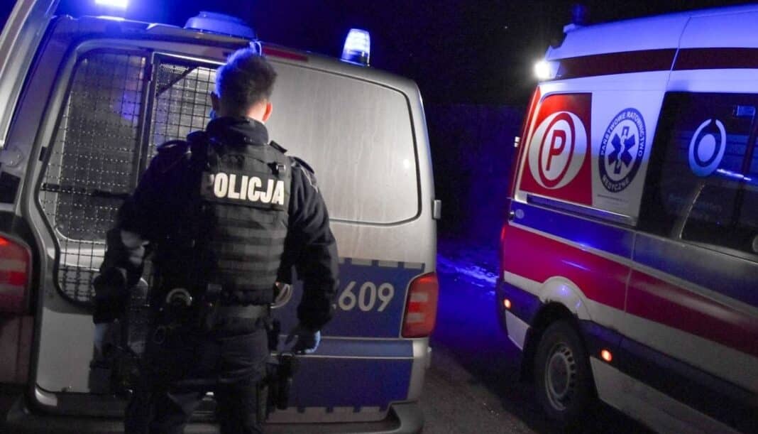 nożowniczka ze Szczytna