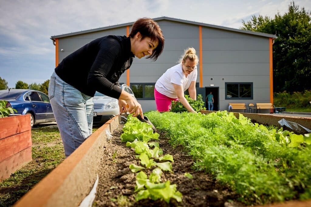 W Elblągu działa konsorcjum „Warmińskie Szlaki Kulinarne”, które dostarcza paczki żywnościowe potrzebującym rodzinom oraz rozwija ogród społeczny przy Banku Żywności. To część projektu „Żywność największą potrzebą człowieka”. - 30 paczek żywnościowych miesięcznie i rozwój ogrodu społecznego. Konsorcjum „Warmińskie Szlaki Kulinarne” wzmacnia pomoc żywnościową w Elblągu