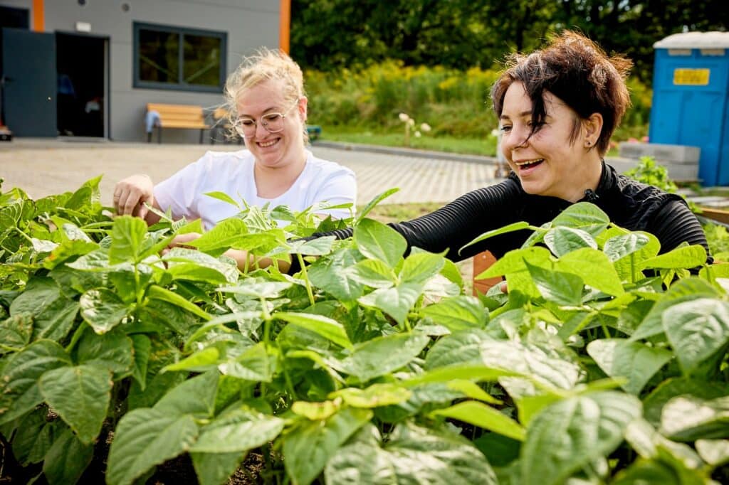 W Elblągu działa konsorcjum „Warmińskie Szlaki Kulinarne”, które dostarcza paczki żywnościowe potrzebującym rodzinom oraz rozwija ogród społeczny przy Banku Żywności. To część projektu „Żywność największą potrzebą człowieka”. - 30 paczek żywnościowych miesięcznie i rozwój ogrodu społecznego. Konsorcjum „Warmińskie Szlaki Kulinarne” wzmacnia pomoc żywnościową w Elblągu