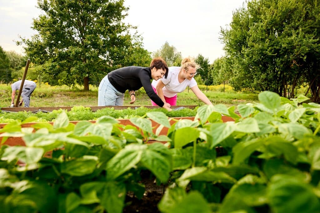 W Elblągu działa konsorcjum „Warmińskie Szlaki Kulinarne”, które dostarcza paczki żywnościowe potrzebującym rodzinom oraz rozwija ogród społeczny przy Banku Żywności. To część projektu „Żywność największą potrzebą człowieka”. - 30 paczek żywnościowych miesięcznie i rozwój ogrodu społecznego. Konsorcjum „Warmińskie Szlaki Kulinarne” wzmacnia pomoc żywnościową w Elblągu