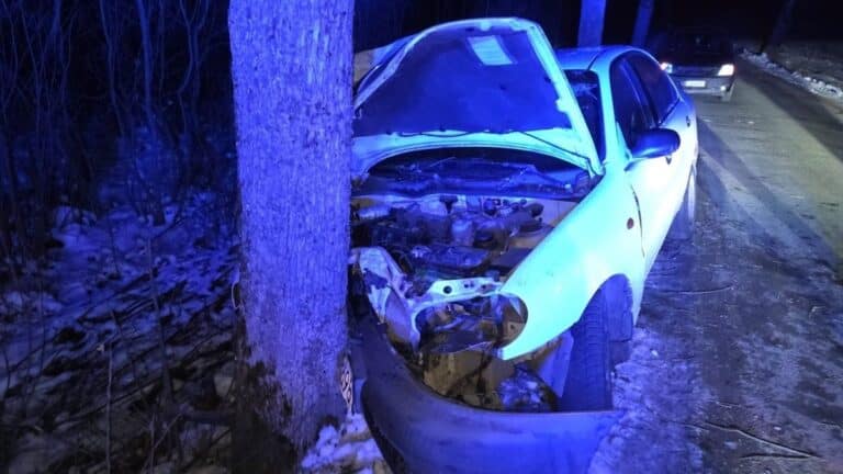 rozbite auto na drzewie
