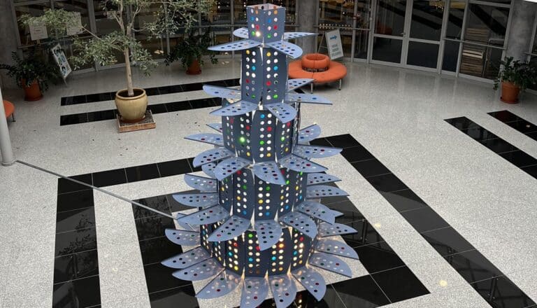 zaskakująca choinka w UWM