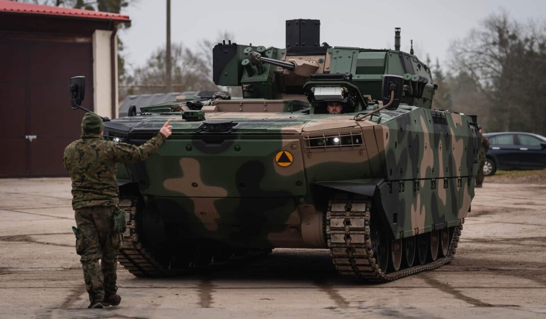 Borsuki przyjechały do Orzysza