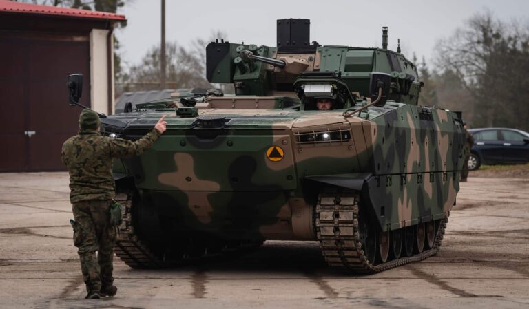 Borsuki przyjechały do Orzysza