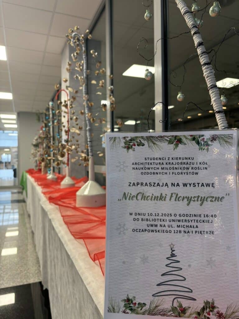 Takich choinek Olsztyn jeszcze nie widział! Informatycy i studenci zaskoczyli wszystkich. - Nietypowe choinki w Olsztynie. Kreatywne świąteczne drzewka zaskakują pomysłowością