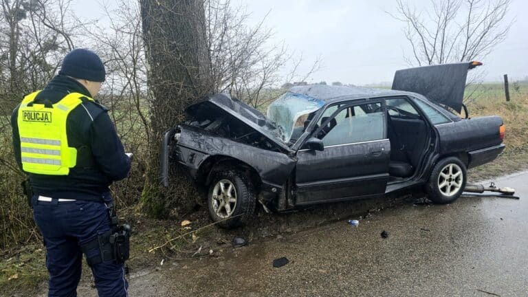 Audi uderzyło w drzwo