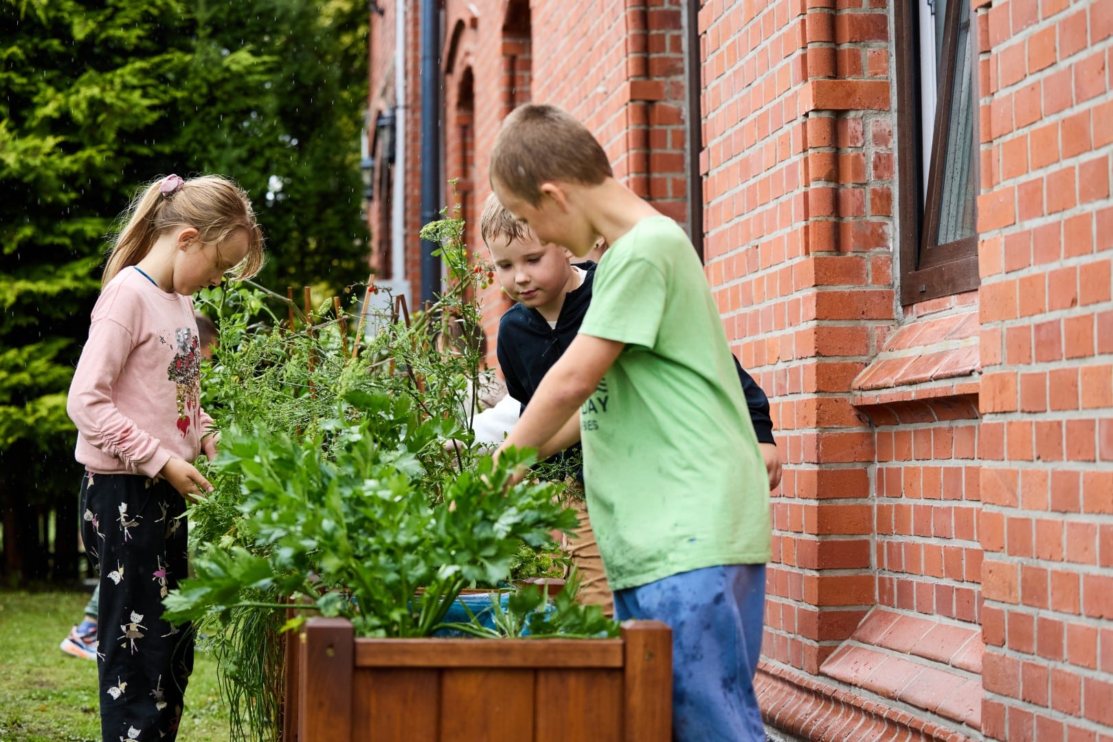 Warsztaty kulinarne i ogród społeczny w Łęczu. Konsorcjum „Łęcznik” wzmacnia lokalne wsparcie żywnościowe