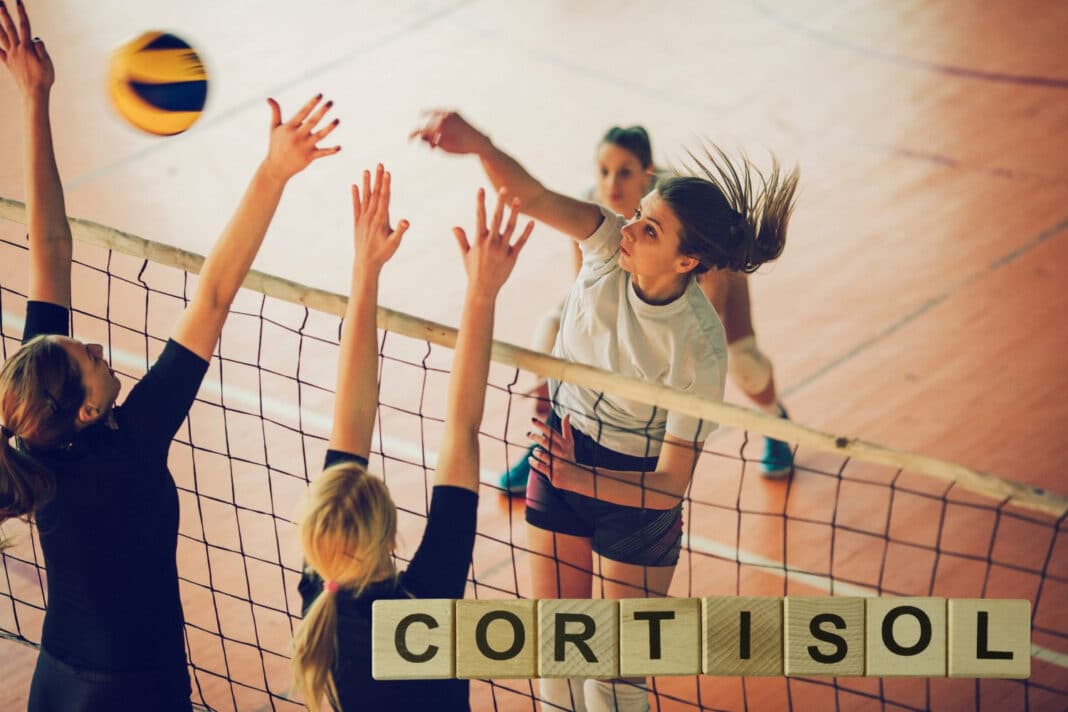 Jak wspierać organizm przy intensywnym treningu?