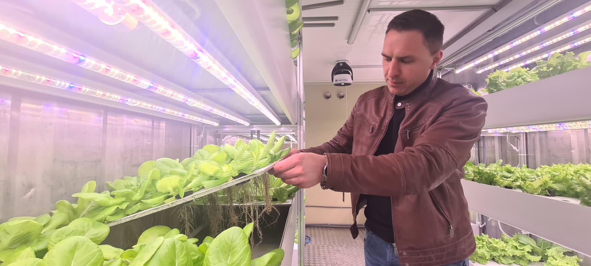 Warzywa z kontenera hydroponicznego i ogród społeczny. Fundacja Bank Żywności w Olsztynie rozwija lokalny system żywienia