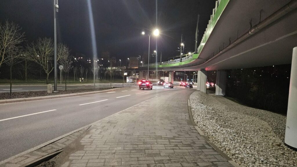 Bardzo przykry widok. - Sarna wbiegła pod samochód na jednej z głównych ulic Olsztyna