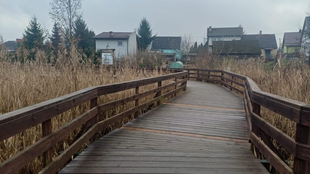 Radni odkryli skandal przy budowie mola. - Najdłuższe polskie molo z Mazur oszustwem? Prokuratura postawiła zarzuty