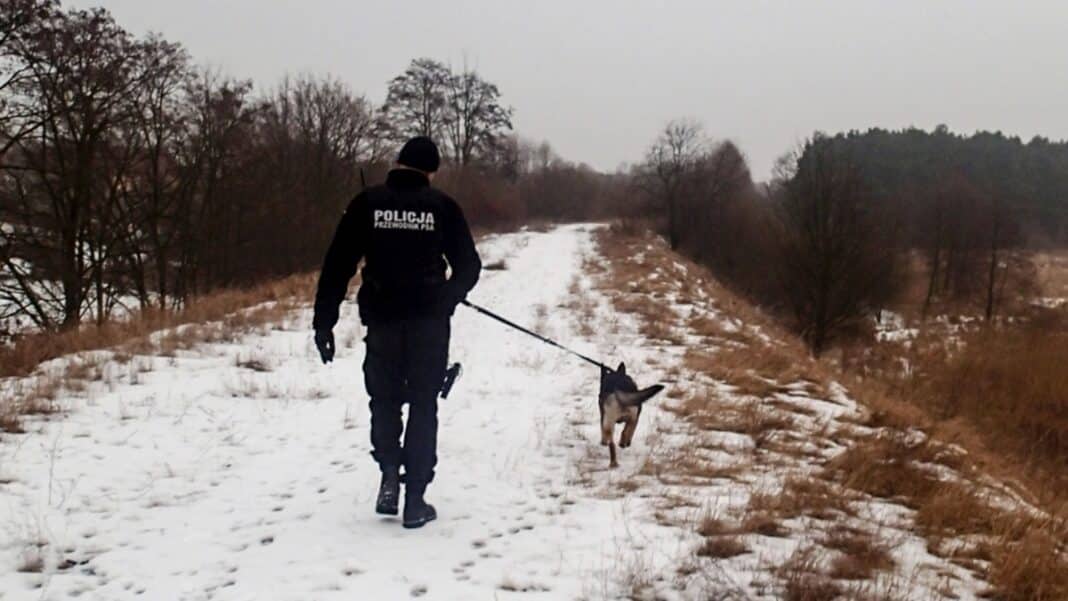 poszukiwania policji zimą