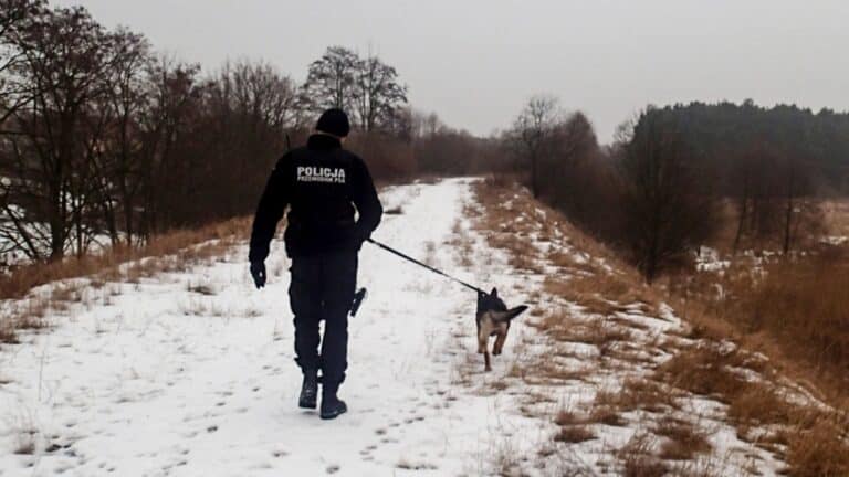 poszukiwania policji zimą