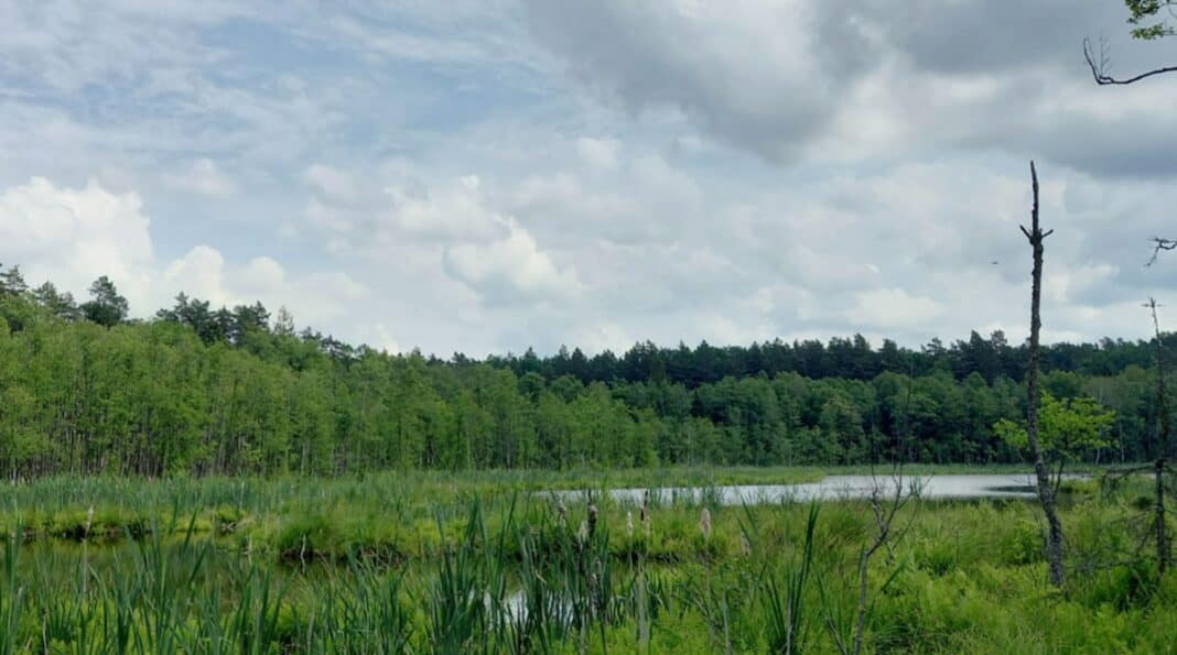 nowy rezerwat przyrody