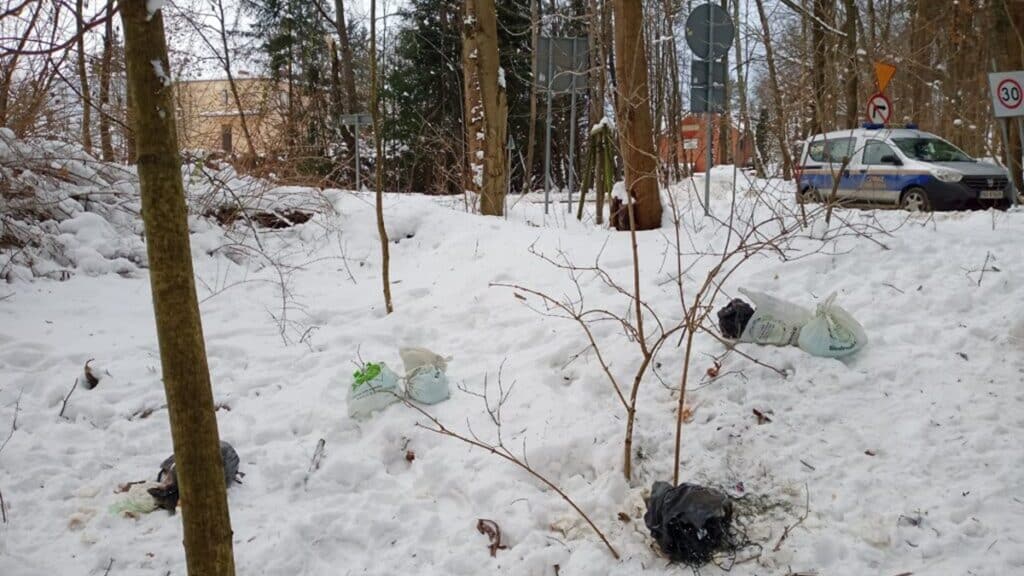 śmieci i straż miejska w lesie zimą