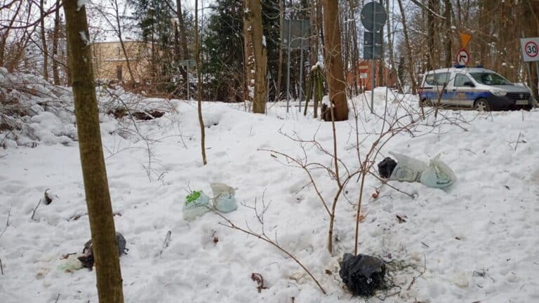 śmieci i straż miejska w lesie zimą