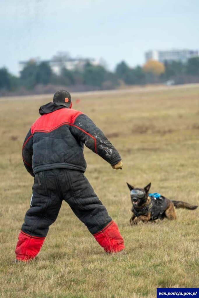 Pies Tyson już wspiera kontrterrorystów. - To nowy członek elitarnej jednostki. Ma 1,5 roku i już jest gotowy do akcji