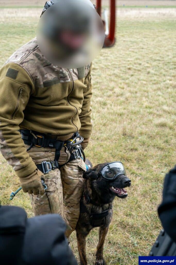 Pies Tyson już wspiera kontrterrorystów. - To nowy członek elitarnej jednostki. Ma 1,5 roku i już jest gotowy do akcji