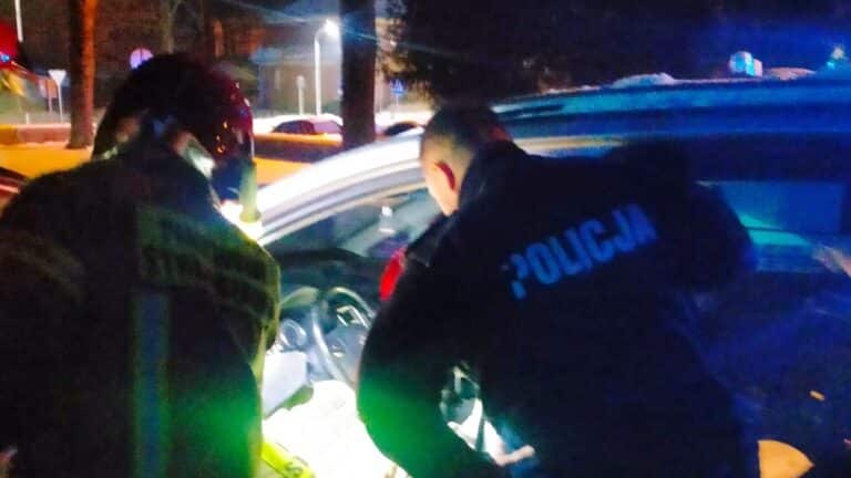 policja i straż sprawdza samochód