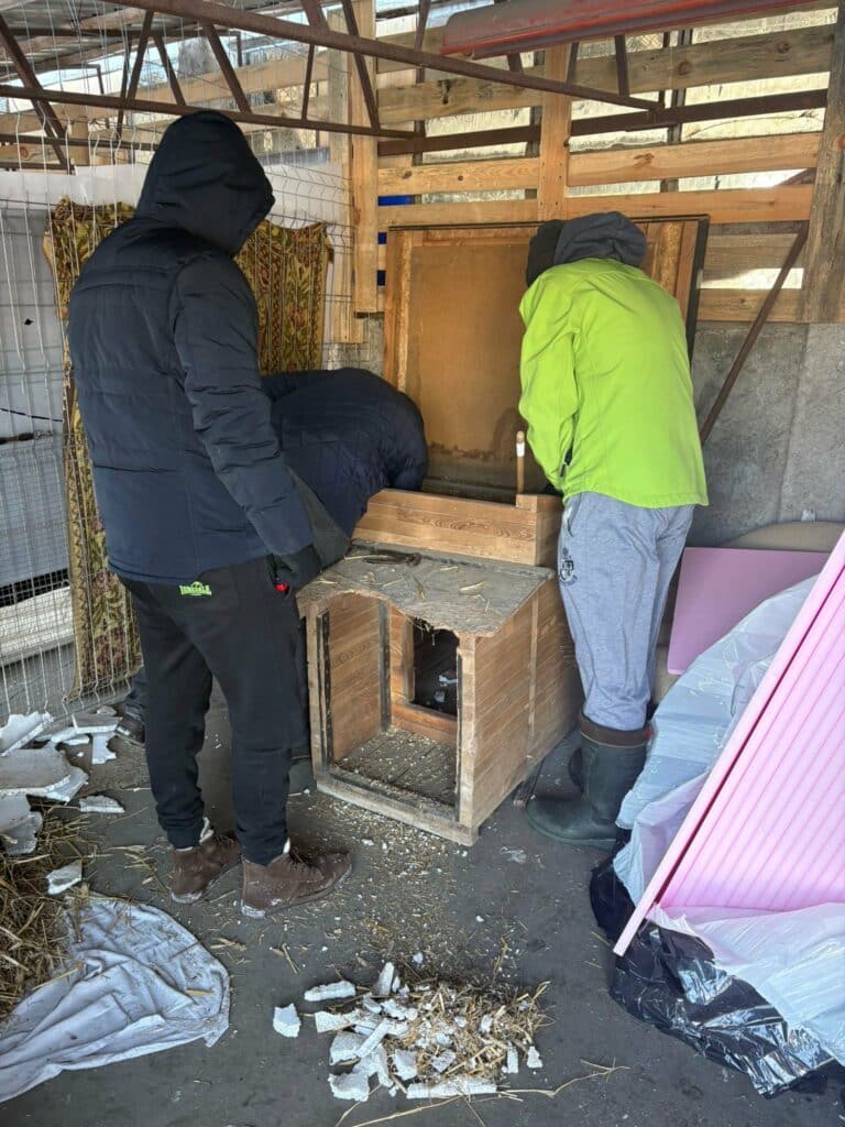 Gwiazda, społeczniczka i polityczka łączą siły by pomóc psom. Ty też możesz! - Doda reaguje na sytuację w przytulisku dla psów na Mazurach. Pomoc już nadeszła