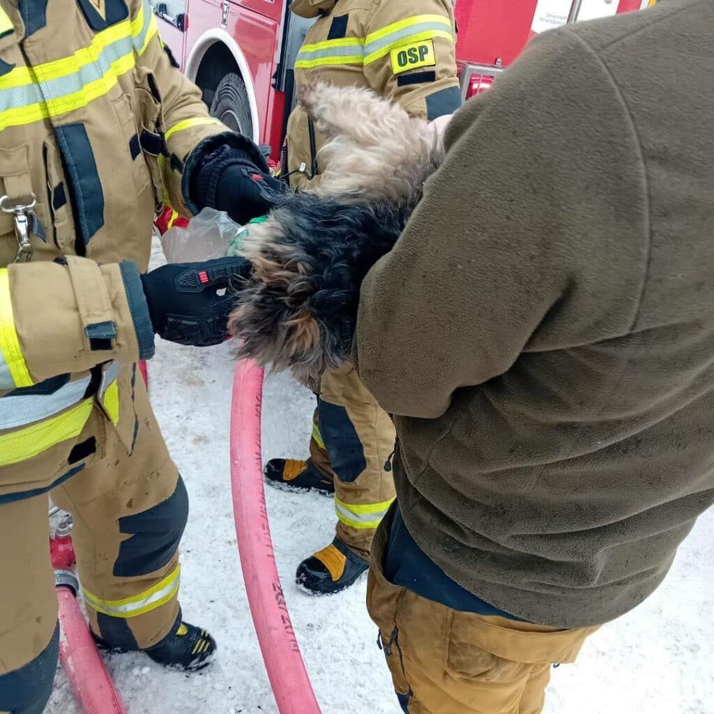 W budynku były jeszcze trzy osoby. - Pożar domu. Strażacy wynieśli psa i podali mu tlen