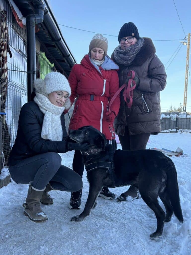 Gwiazda, społeczniczka i polityczka łączą siły by pomóc psom. Ty też możesz! - Doda reaguje na sytuację w przytulisku dla psów na Mazurach. Pomoc już nadeszła