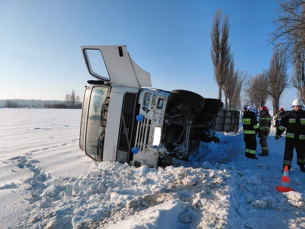 Transport zwierząt wypadł z drogi. - Ciężarówka z trzodą chlewną wpadła do rowu. 12 sztuk padło