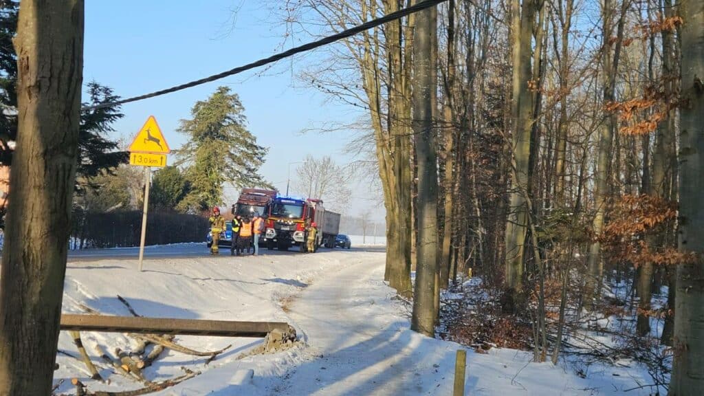 Strażacy zabezpieczali drogę, policja szuka sprawcy. - Paraliż na drodze krajowej: uszkodzone słupy i zerwana linia energetyczna