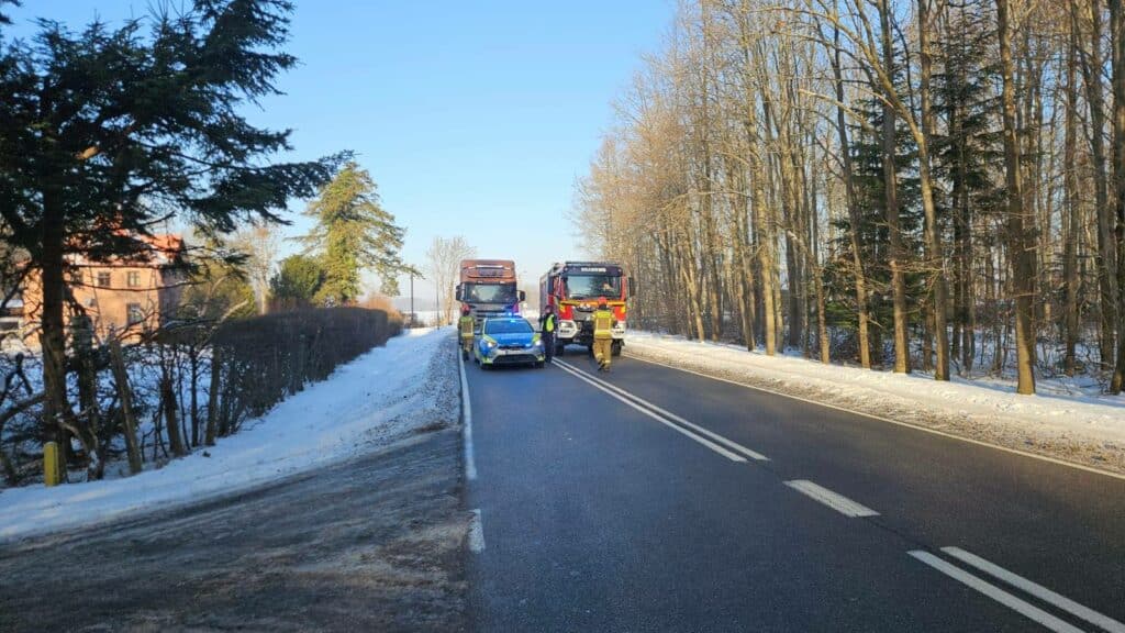 Strażacy zabezpieczali drogę, policja szuka sprawcy. - Paraliż na drodze krajowej: uszkodzone słupy i zerwana linia energetyczna