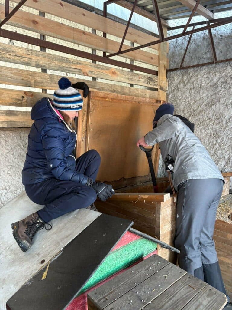 Gwiazda, społeczniczka i polityczka łączą siły by pomóc psom. Ty też możesz! - Doda reaguje na sytuację w przytulisku dla psów na Mazurach. Pomoc już nadeszła