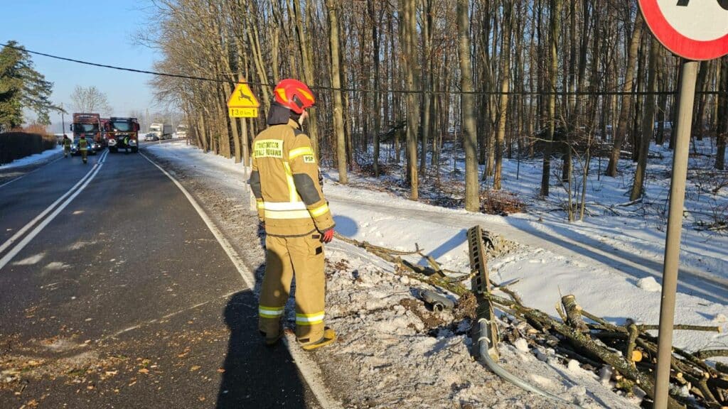 Strażacy zabezpieczali drogę, policja szuka sprawcy. - Paraliż na drodze krajowej: uszkodzone słupy i zerwana linia energetyczna