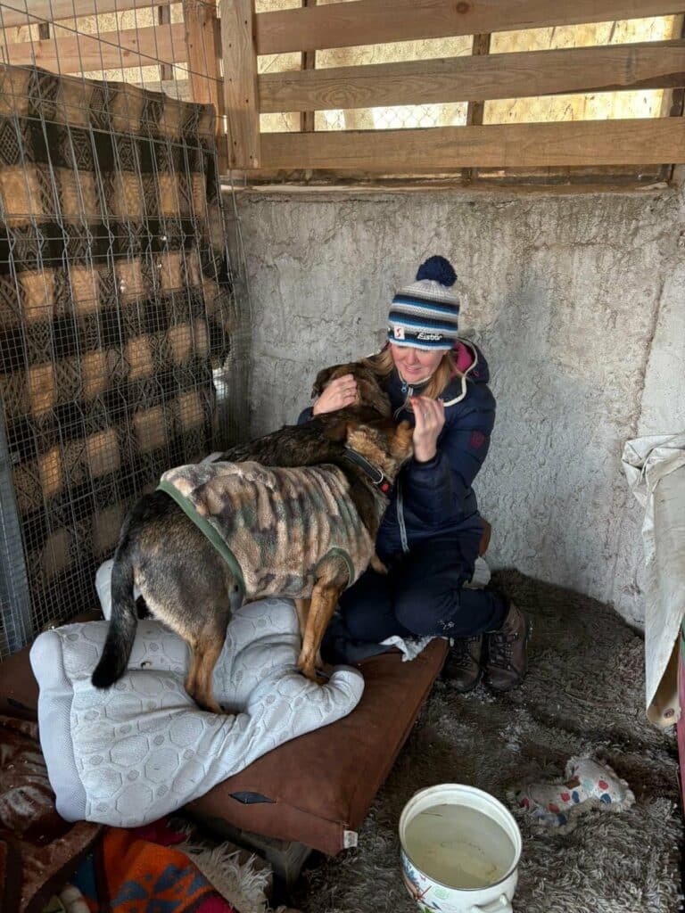 Gwiazda, społeczniczka i polityczka łączą siły by pomóc psom. Ty też możesz! - Doda reaguje na sytuację w przytulisku dla psów na Mazurach. Pomoc już nadeszła