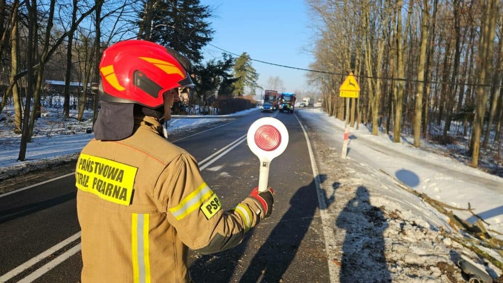 Strażacy zabezpieczali drogę, policja szuka sprawcy. - Paraliż na drodze krajowej: uszkodzone słupy i zerwana linia energetyczna