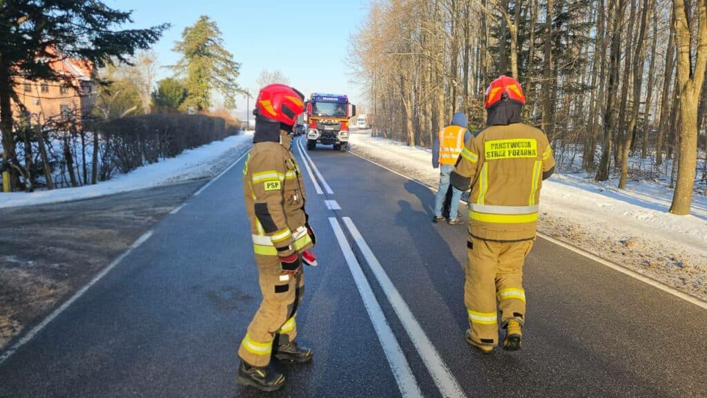 Strażacy zabezpieczali drogę, policja szuka sprawcy. - Paraliż na drodze krajowej: uszkodzone słupy i zerwana linia energetyczna