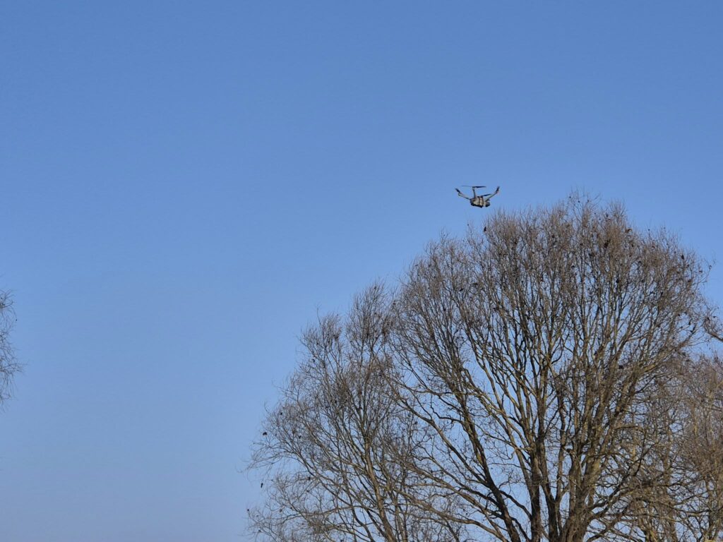 Sprawdzono już 125 hektarów, ani śladu mężczyzny. - Służby szukają 66-letniego mężczyzny. Trwa szeroka akcja z lądu, wody i powietrza