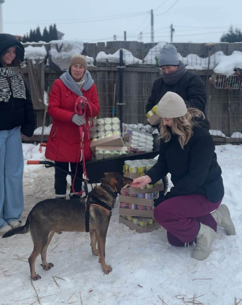 Gwiazda, społeczniczka i polityczka łączą siły by pomóc psom. Ty też możesz! - Doda reaguje na sytuację w przytulisku dla psów na Mazurach. Pomoc już nadeszła