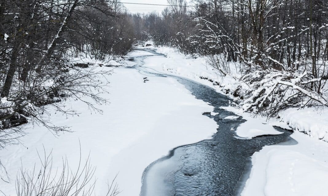 rzeka Wel zagrożenie