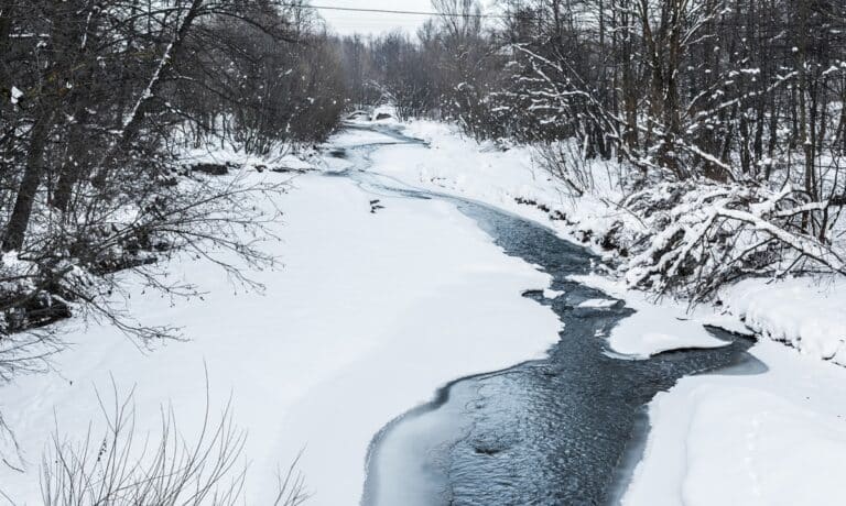rzeka Wel zagrożenie
