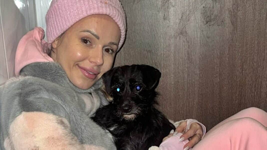 doda pomaga zwierzętom