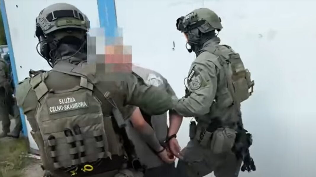 służba celno skarbowa zatrzymanie