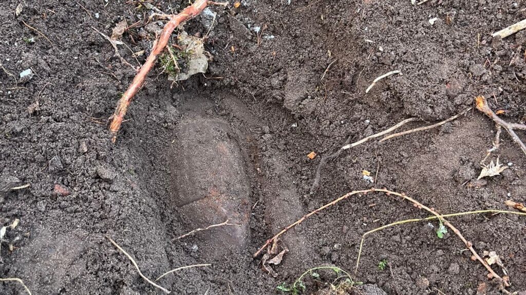 Olsztyńskie Stowarzyszenie Medalion wstrzymało działania po tym odkryciu. - Historia wyszła na powierzchnię. Niebezpieczne znalezisko w lesie pod Olsztynem