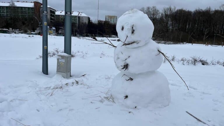 zima park nag&oacute;rki jaroty bałwan