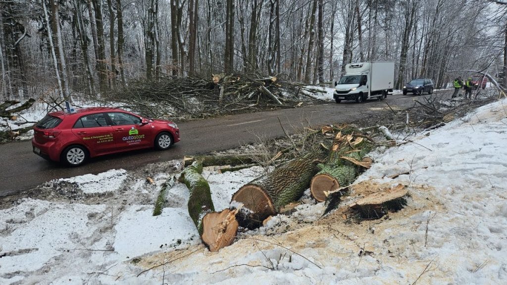 Wycięte drzewa na drodze w Olsztynie, w tle ciężki sprzęt i samochody, zimowa sceneria.