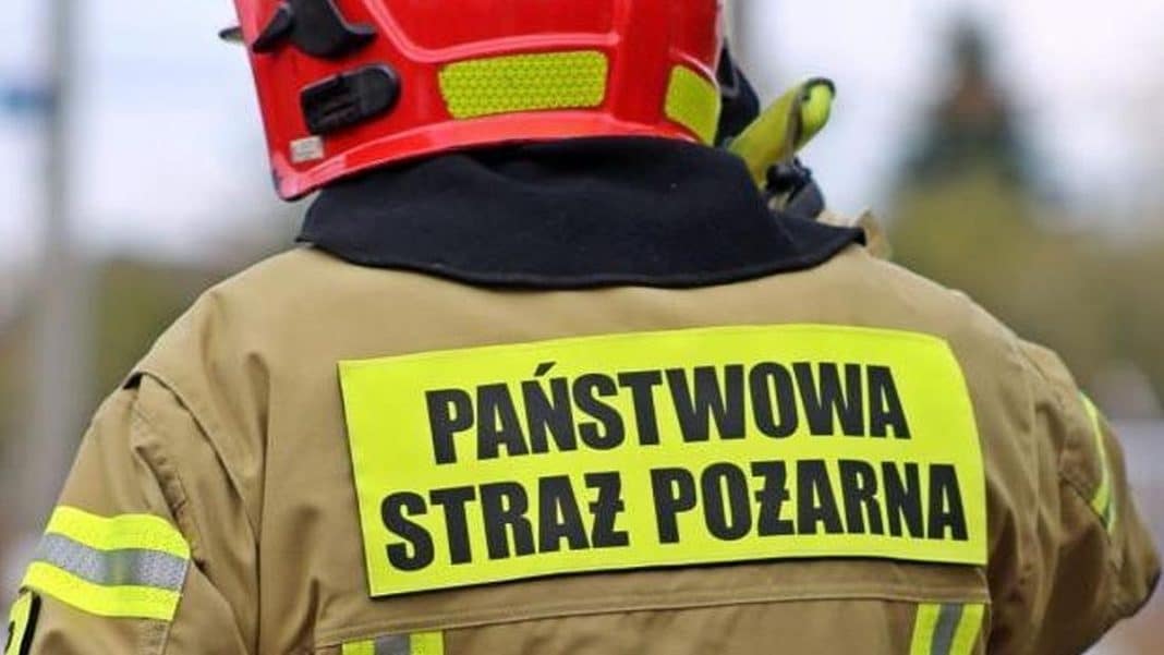 Strażak w mundurze z napisem 'Państwowa Straż Pożarna' na plecach, widziany od tyłu.